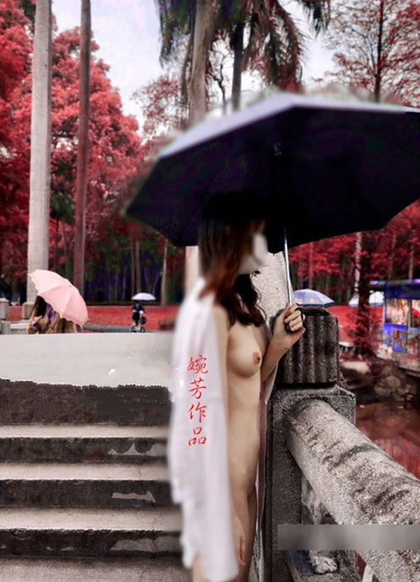 婉芳作品