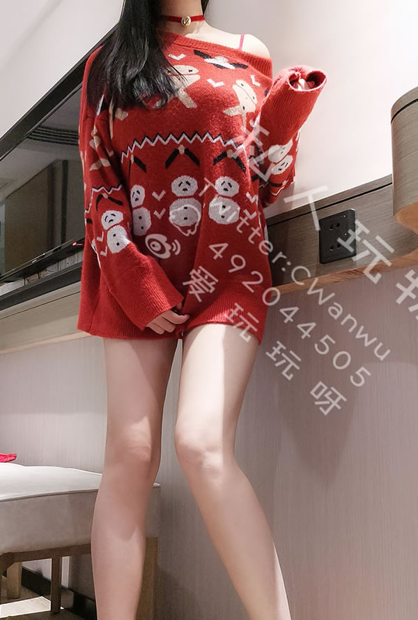 私人玩物+完具